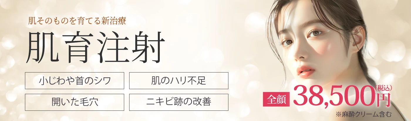 肌そのものを育てる新治療 肌育注射