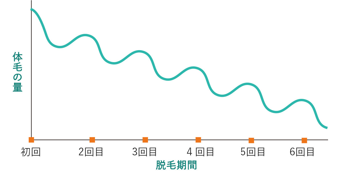 メンズ脱毛のスケジュール