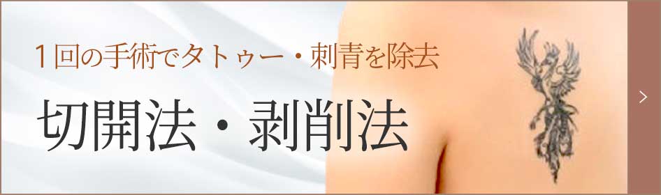 切開法・剥削法