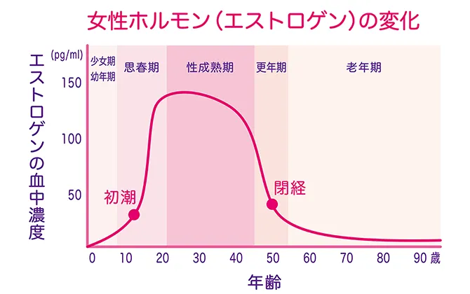 女性ホルモン（エストロゲン）の変化のグラフ